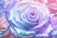 Holographic rose texture background backgrounds flower plant.