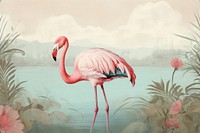 Illustration of flamingo animal bird wildlife.