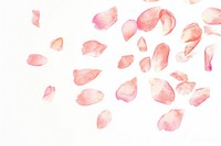 Petals falling in the style of minimalist illustrator backgrounds white background abstract.