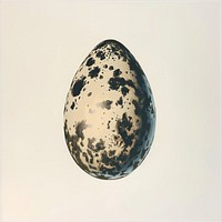 A crow egg space astronomy universe.