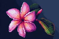 Plumeria cut pixel flower petal plant.