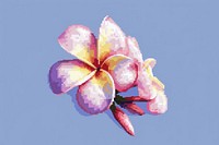Plumeria cut pixel flower blossom petal.