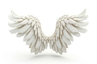 Angel white bird wing.