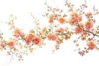 A flower bush backgrounds blossom pattern.