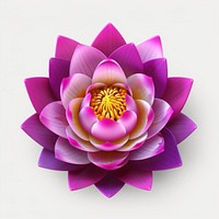 Hyper Detailed Realistic Graphic element representing of lotus flower dahlia purple.