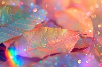 Holographic autumn leaf texture background backgrounds rainbow glitter.