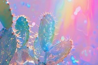 Holographic cactus plant background backgrounds outdoors nature.