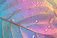 Holographic leaf texture background backgrounds outdoors plant.