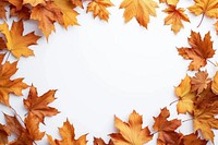 Frame Of Autumn Leaves backgrounds leaves autumn.