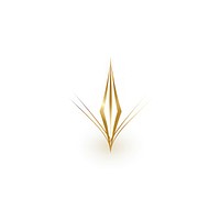 Gold diamond vectorized line logo white background accessories.