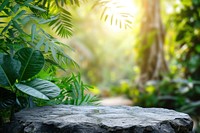 Stone podium tabletop floor outdoors nature forest.