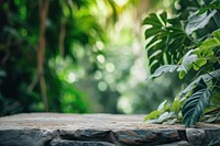 Stone podium tabletop floor outdoors nature plant.