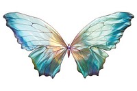 Fairy wings butterfly animal insect.