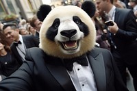 Selfie panda mammal animal adult.