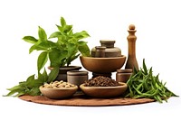 Ayurveda plant herbs food.