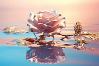 Antique chinese a rose on water surface outdoors blossom flower.