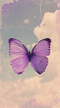 Cute wallpaper butterfly purple outdoors.