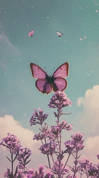 Cute wallpaper butterfly purple sky.