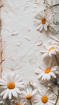 Cute wallpaper flower daisy backgrounds.