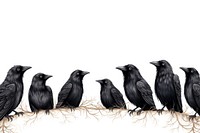 Crow line horizontal border blackbird animal crow.