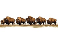 Bison line horizontal border bison livestock wildlife.