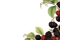 Black berry line horizontal border blackberry fruit plant.
