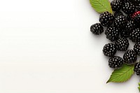 Black berry line horizontal border backgrounds blackberry fruit.