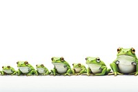 Frog line horizontal border frog amphibian wildlife.