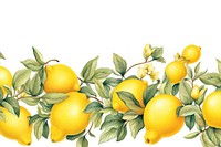 Lemon line horizontal border fruit plant food.