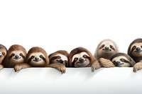 Sloth line horizontal border wildlife animal mammal.