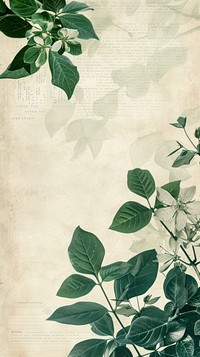 Ephemera border backgrounds plant green.