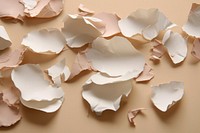 Abstract egg shells ripped paper parallel effect petal art backgrounds.