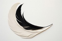 Abstract feather ripped paper art bird lightweight.