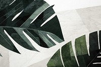 Abstract green tropical leaf ripped paper art plant transportation.