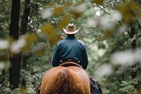 Cowboy with horse mammal animal adult.