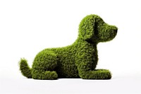 Grass cut in dog shape animal mammal plant.