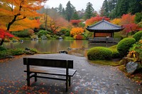 Japanese style garden outdoors autumn nature.