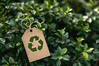 Recycle Icon show on Tag plant text leaf.