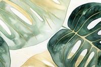 Monstera abstract cute shape backgrounds plant leaf.