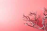Pinkish coral backgrounds nature plant.