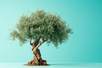Olive tree plant tranquility houseplant.