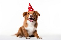 Side view of a Cute dog with red party hat and blow-out celebration mammal animal.
