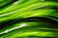  Green backgrounds plant leaf. AI generated Image by rawpixel.