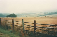  Countryside landscape grassland livestock outdoors. AI generated Image by rawpixel.