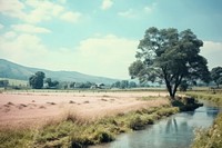  Landscape outdoors nature tranquility. AI generated Image by rawpixel.