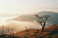  Landscape fog outdoors nature. AI generated Image by rawpixel.