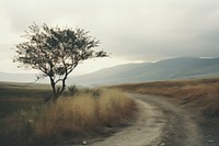  Landscape outdoors nature plant. AI generated Image by rawpixel.