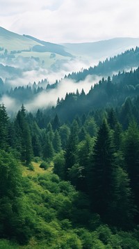  Landscape wilderness vegetation outdoors. AI generated Image by rawpixel.