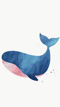 Cute whale illustration animal mammal fish.
