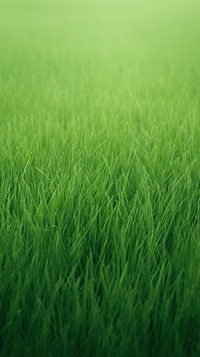  Green grass field plant lawn agriculture. AI generated Image by rawpixel.